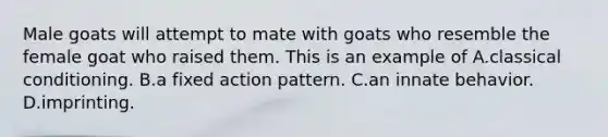 Male goats will attempt to mate with goats who resemble the female goat who raised them. This is an example of A.classical conditioning. B.a fixed action pattern. C.an innate behavior. D.imprinting.