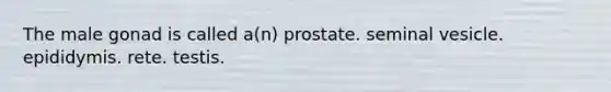 The male gonad is called a(n) prostate. seminal vesicle. epididymis. rete. testis.