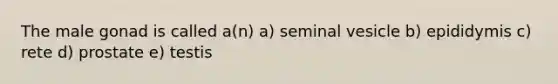 The male gonad is called a(n) a) seminal vesicle b) epididymis c) rete d) prostate e) testis