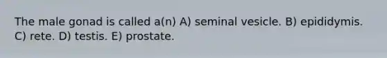 The male gonad is called a(n) A) seminal vesicle. B) epididymis. C) rete. D) testis. E) prostate.