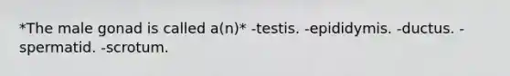*The male gonad is called a(n)* -testis. -epididymis. -ductus. -spermatid. -scrotum.