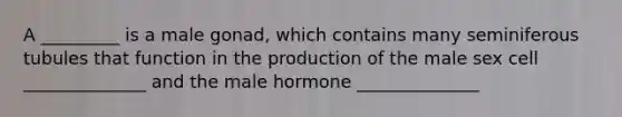 A _________ is a male gonad, which contains many seminiferous tubules that function in the production of the male sex cell ______________ and the male hormone ______________