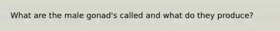 What are the male gonad's called and what do they produce?