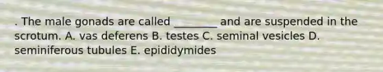 . The male gonads are called ________ and are suspended in the scrotum. A. vas deferens B. testes C. seminal vesicles D. seminiferous tubules E. epididymides