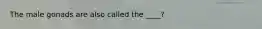 The male gonads are also called the ____?