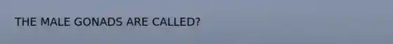 THE MALE GONADS ARE CALLED?