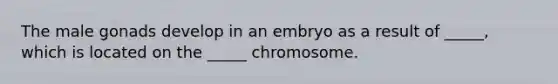 The male gonads develop in an embryo as a result of _____, which is located on the _____ chromosome.