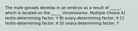 The male gonads develop in an embryo as a result of _____, which is located on the _____ chromosome. Multiple Choice A) testis-determining factor; Y B) ovary-determining factor; X C) testis-determining factor; X D) ovary-determining factor; Y