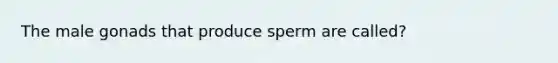 The male gonads that produce sperm are called?