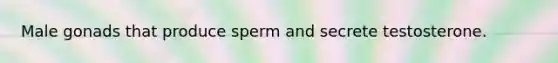 Male gonads that produce sperm and secrete testosterone.