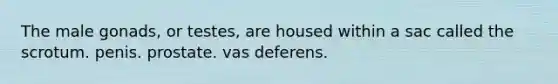 The male gonads, or testes, are housed within a sac called the scrotum. penis. prostate. vas deferens.