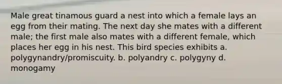 Male great tinamous guard a nest into which a female lays an egg from their mating. The next day she mates with a different male; the first male also mates with a different female, which places her egg in his nest. This bird species exhibits a. polygynandry/promiscuity. b. polyandry c. polygyny d. monogamy