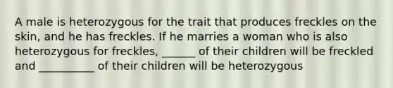 A male is heterozygous for the trait that produces freckles on the skin, and he has freckles. If he marries a woman who is also heterozygous for freckles, ______ of their children will be freckled and __________ of their children will be heterozygous