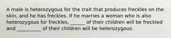 A male is heterozygous for the trait that produces freckles on the skin, and he has freckles. If he marries a woman who is also heterozygous for freckles, ______ of their children will be freckled and __________ of their children will be heterozygous.