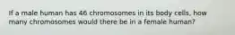 If a male human has 46 chromosomes in its body cells, how many chromosomes would there be in a female human?