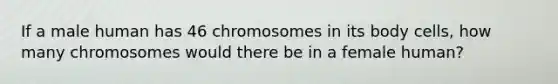 If a male human has 46 chromosomes in its body cells, how many chromosomes would there be in a female human?