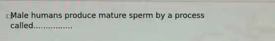 Male humans produce mature sperm by a process called................