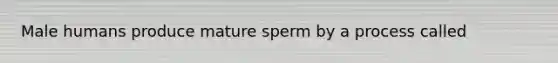 Male humans produce mature sperm by a process called