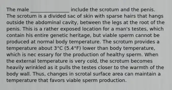 The male ________________ include the scrotum and the penis. The scrotum is a divided sac of skin with sparse hairs that hangs outside the abdominal cavity, between the legs at the root of the penis. This is a rather exposed location for a man's testes, which contain his entire genetic heritage, but viable sperm cannot be produced at normal body temperature. The scrotum provides a temperature about 3°C (5.4°F) lower than body temperature, which is nec essary for the production of healthy sperm. When the external temperature is very cold, the scrotum becomes heavily wrinkled as it pulls the testes closer to the warmth of the body wall. Thus, changes in scrotal surface area can maintain a temperature that favors viable sperm production.