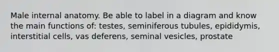 Male internal anatomy. Be able to label in a diagram and know the main functions of: testes, seminiferous tubules, epididymis, interstitial cells, vas deferens, seminal vesicles, prostate