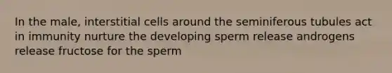 In the male, interstitial cells around the seminiferous tubules act in immunity nurture the developing sperm release androgens release fructose for the sperm