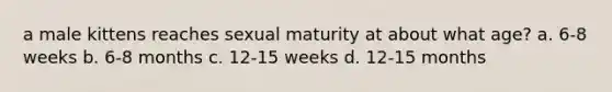 a male kittens reaches sexual maturity at about what age? a. 6-8 weeks b. 6-8 months c. 12-15 weeks d. 12-15 months