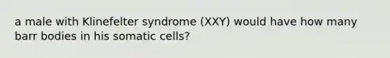 a male with Klinefelter syndrome (XXY) would have how many barr bodies in his somatic cells?