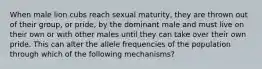 When male lion cubs reach sexual maturity, they are thrown out of their group, or pride, by the dominant male and must live on their own or with other males until they can take over their own pride. This can alter the allele frequencies of the population through which of the following mechanisms?