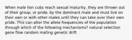 When male lion cubs reach sexual maturity, they are thrown out of their group, or pride, by the dominant male and must live on their own or with other males until they can take over their own pride. This can alter the allele frequencies of the population through which of the following mechanisms? natural selection gene flow random mating genetic drift