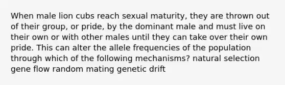 When male lion cubs reach sexual maturity, they are thrown out of their group, or pride, by the dominant male and must live on their own or with other males until they can take over their own pride. This can alter the allele frequencies of the population through which of the following mechanisms? natural selection gene flow random mating genetic drift