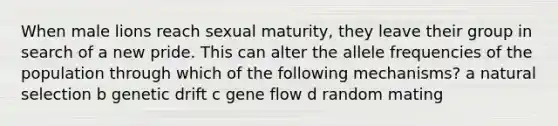 When male lions reach sexual maturity, they leave their group in search of a new pride. This can alter the allele frequencies of the population through which of the following mechanisms? a natural selection b genetic drift c gene flow d random mating