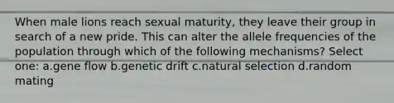 When male lions reach sexual maturity, they leave their group in search of a new pride. This can alter the allele frequencies of the population through which of the following mechanisms? Select one: a.gene flow b.genetic drift c.natural selection d.random mating