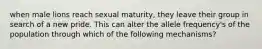 when male lions reach sexual maturity, they leave their group in search of a new pride. This can alter the allele frequency's of the population through which of the following mechanisms?