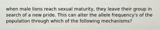 when male lions reach sexual maturity, they leave their group in search of a new pride. This can alter the allele frequency's of the population through which of the following mechanisms?