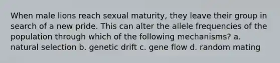 When male lions reach sexual maturity, they leave their group in search of a new pride. This can alter the allele frequencies of the population through which of the following mechanisms? a. natural selection b. genetic drift c. gene flow d. random mating