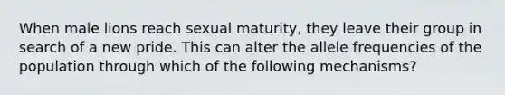 When male lions reach sexual maturity, they leave their group in search of a new pride. This can alter the allele frequencies of the population through which of the following mechanisms?