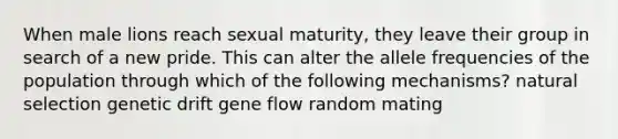 When male lions reach sexual maturity, they leave their group in search of a new pride. This can alter the allele frequencies of the population through which of the following mechanisms? natural selection genetic drift gene flow random mating