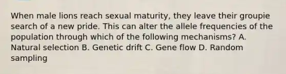 When male lions reach sexual maturity, they leave their groupie search of a new pride. This can alter the allele frequencies of the population through which of the following mechanisms? A. Natural selection B. Genetic drift C. Gene flow D. Random sampling