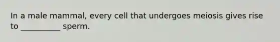 In a male mammal, every cell that undergoes meiosis gives rise to __________ sperm.