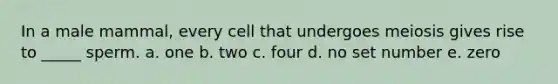 In a male mammal, every cell that undergoes meiosis gives rise to _____ sperm. a. one b. two c. four d. no set number e. zero