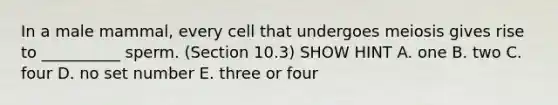 In a male mammal, every cell that undergoes meiosis gives rise to __________ sperm. (Section 10.3) SHOW HINT A. one B. two C. four D. no set number E. three or four