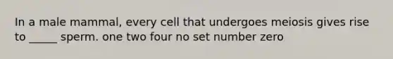 In a male mammal, every cell that undergoes meiosis gives rise to _____ sperm. one two four no set number zero