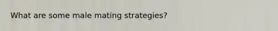 What are some male mating strategies?