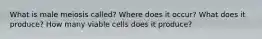 What is male meiosis called? Where does it occur? What does it produce? How many viable cells does it produce?