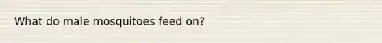 What do male mosquitoes feed on?