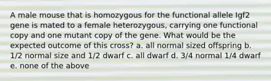 A male mouse that is homozygous for the functional allele Igf2 gene is mated to a female heterozygous, carrying one functional copy and one mutant copy of the gene. What would be the expected outcome of this cross? a. all normal sized offspring b. 1/2 normal size and 1/2 dwarf c. all dwarf d. 3/4 normal 1/4 dwarf e. none of the above