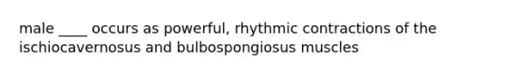 male ____ occurs as powerful, rhythmic contractions of the ischiocavernosus and bulbospongiosus muscles