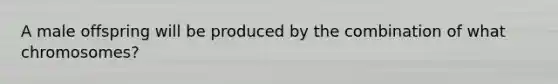A male offspring will be produced by the combination of what chromosomes?