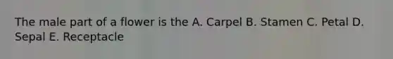 The male part of a flower is the A. Carpel B. Stamen C. Petal D. Sepal E. Receptacle