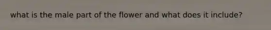 what is the male part of the flower and what does it include?